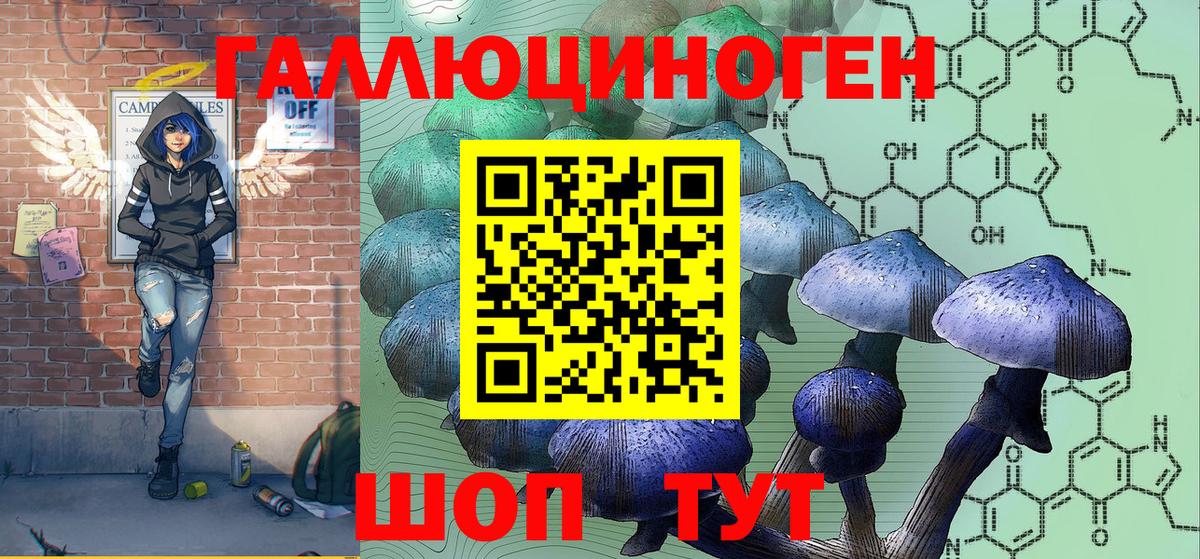 Псилоцибиновые грибы Psilocybine cubensis Пушкино